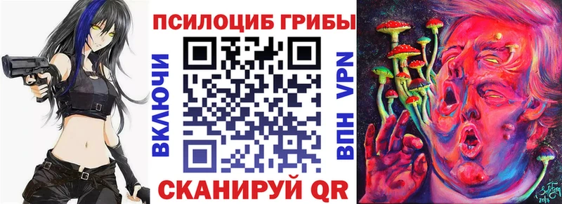 Галлюциногенные грибы Psilocybine cubensis  Купить  Липки 